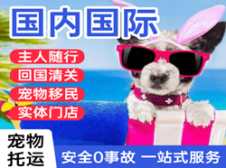 赤峰玉龙机场货运国际宠物托运 【国